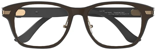 AR99 square frame in the Palm Brown reference colour